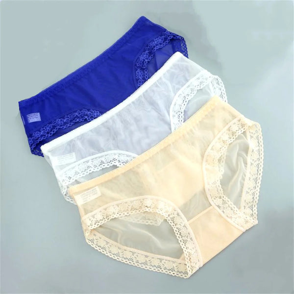 Mesh Sheer Briefs